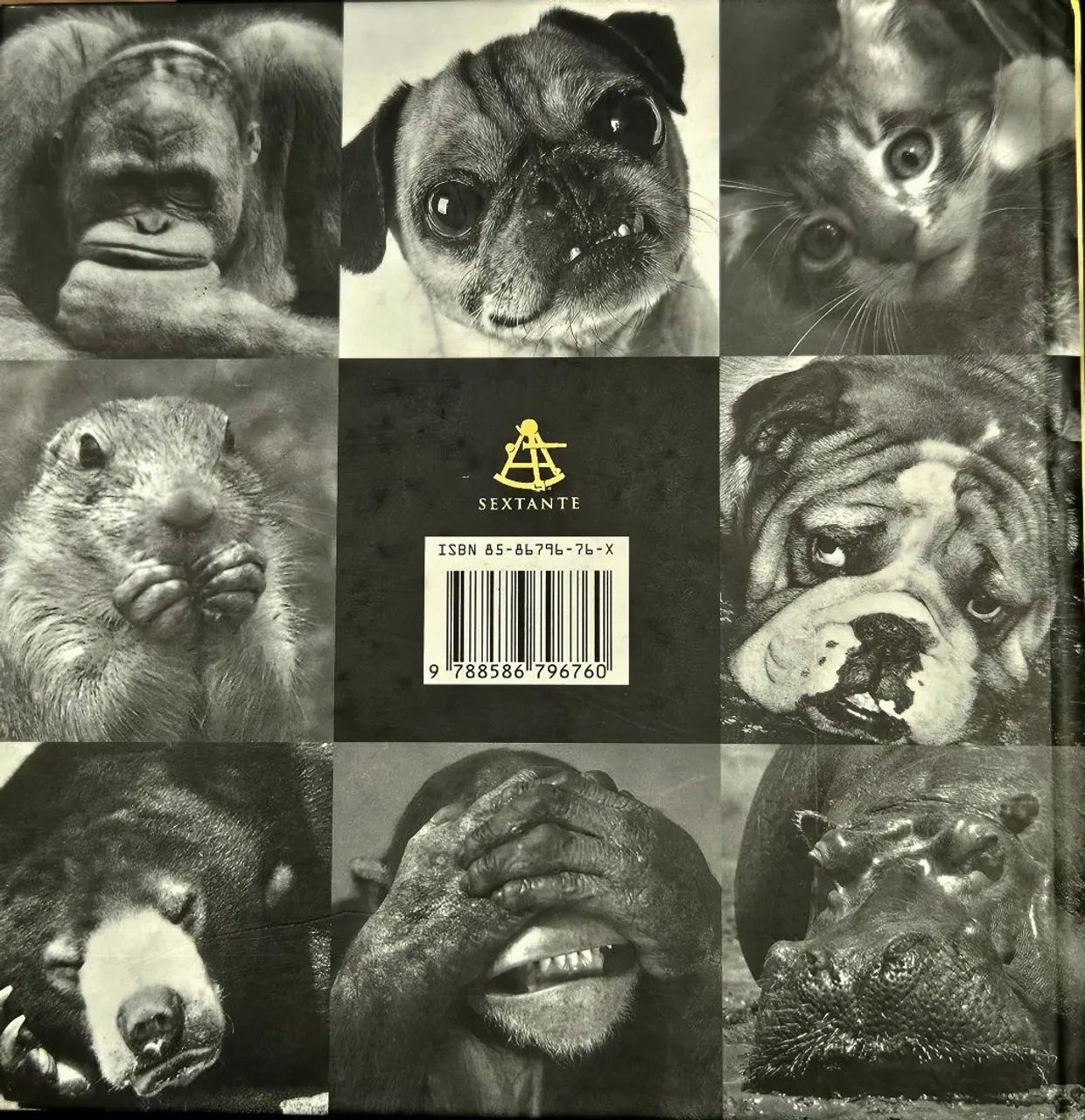 Livro: Um Dia "Daqueles" - Bradley Trevor Greive - Foto 2