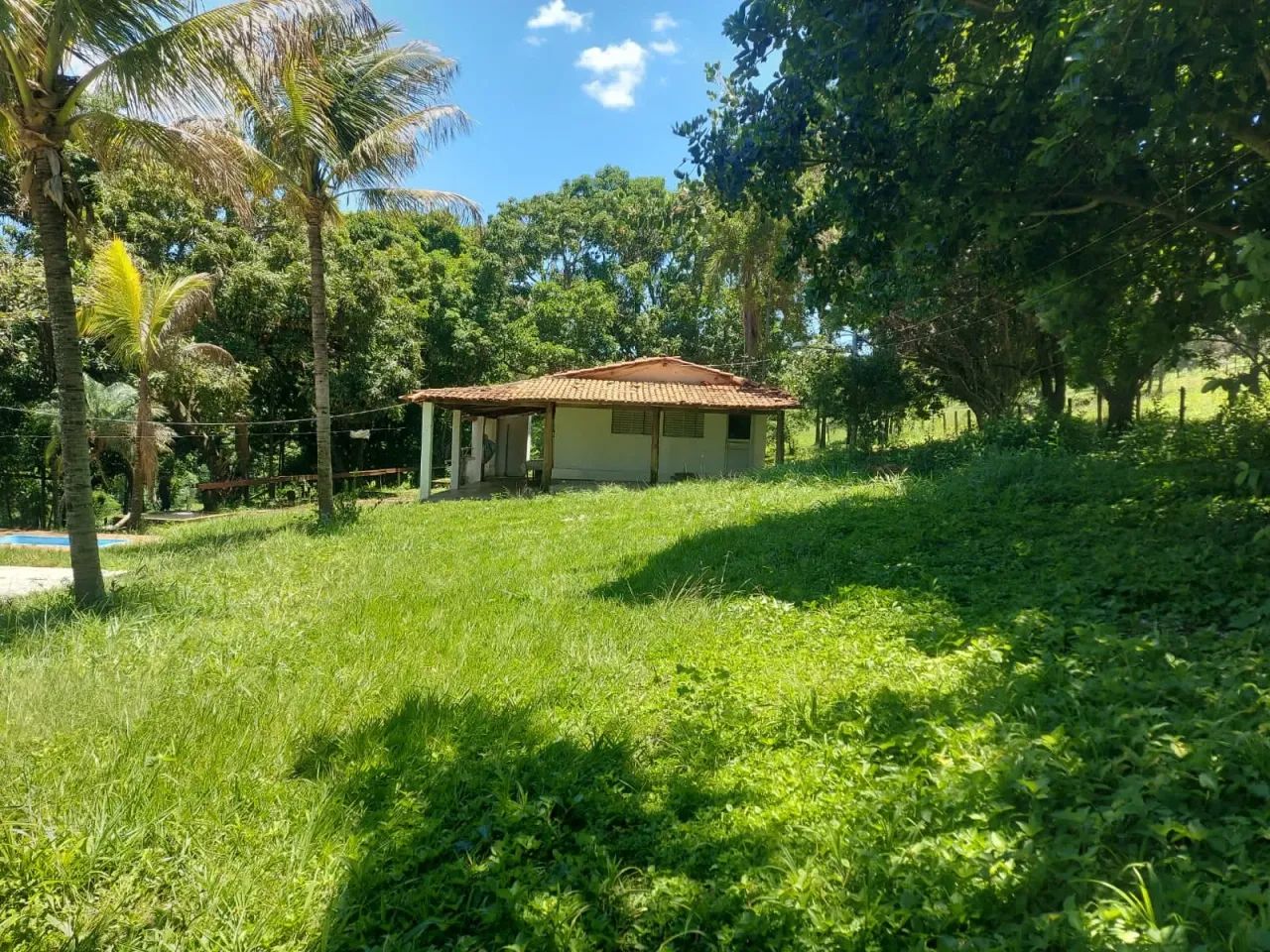 Fazenda Bela vista - Foto 3