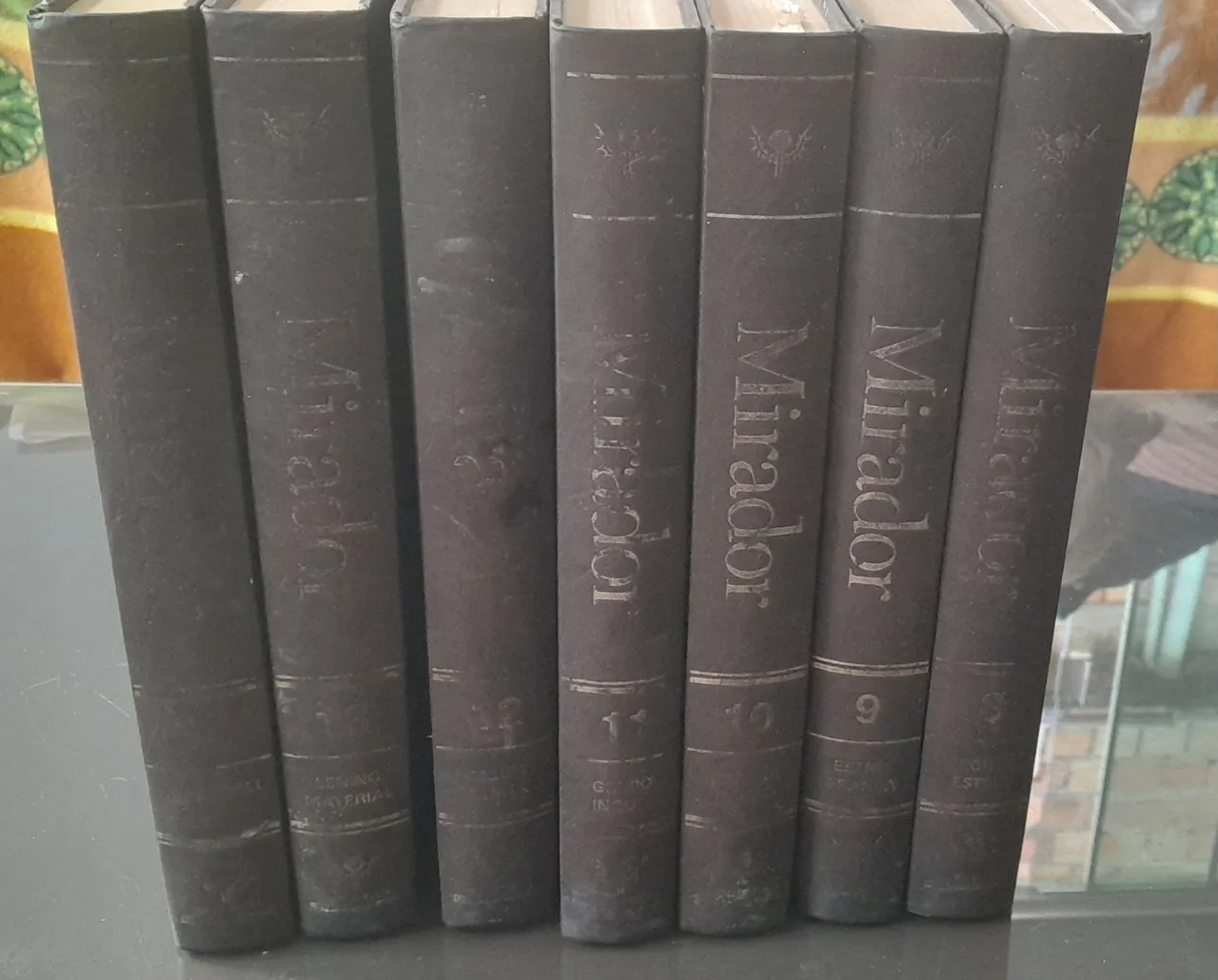 Coleção Mirador - Livros Encadernados