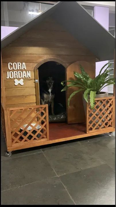 Casinha de cachorro linda para seu pet! - Foto 2