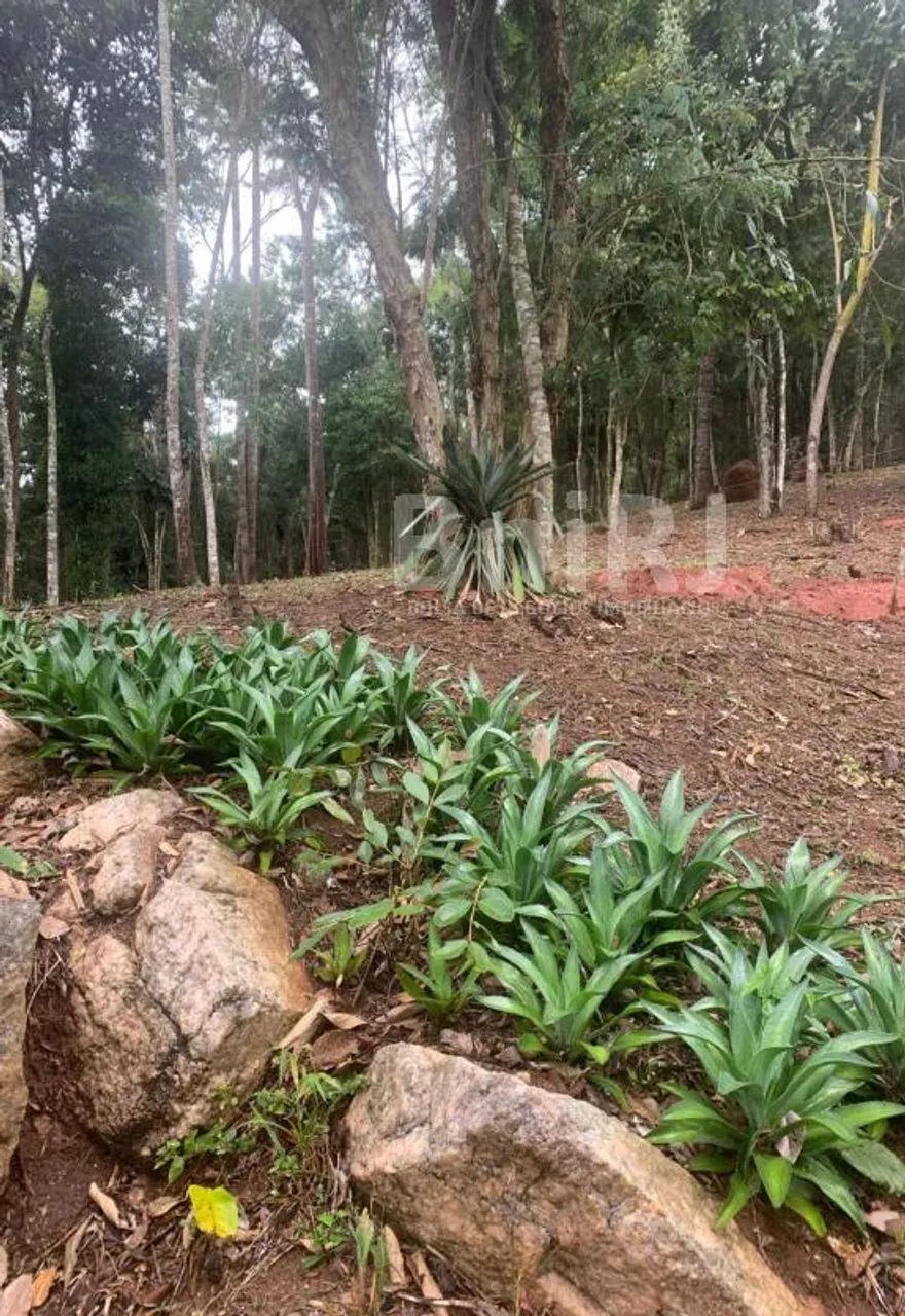Araras, Petrópolis RJ. 11 lotes no Vale das Videiras. Rodeada por exuberante natureza, ide - Foto 12