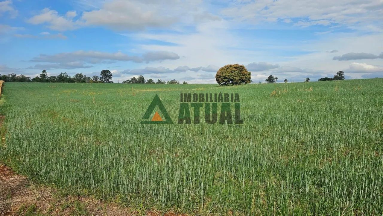 Sítio com 05 alqueires em Jataizinho - Foto 5