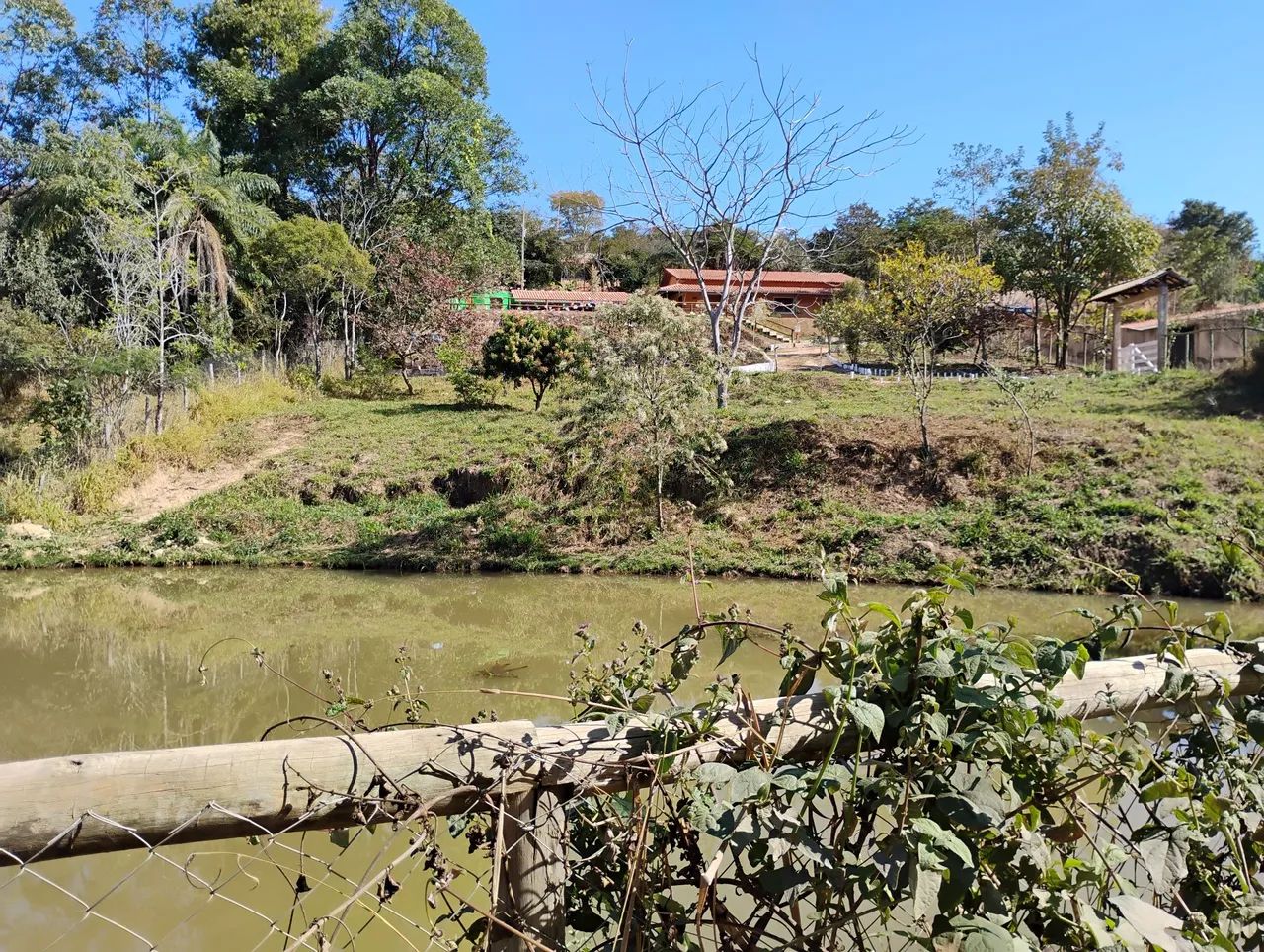 Terreno 5.000 m com lagoa. - Foto 5