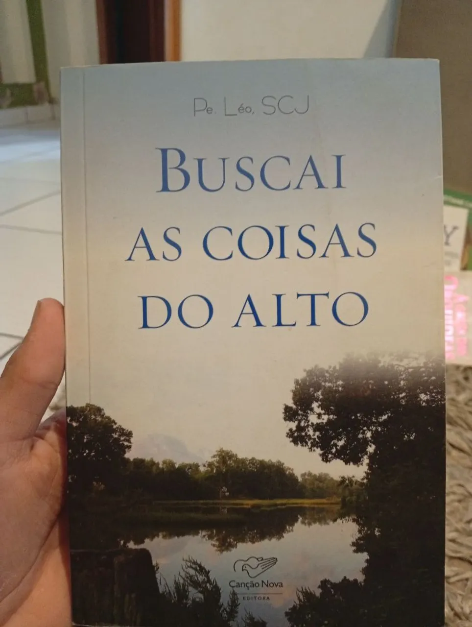 Livro Buscai as Coisas do Alto - Pe. Léo, SCJ
