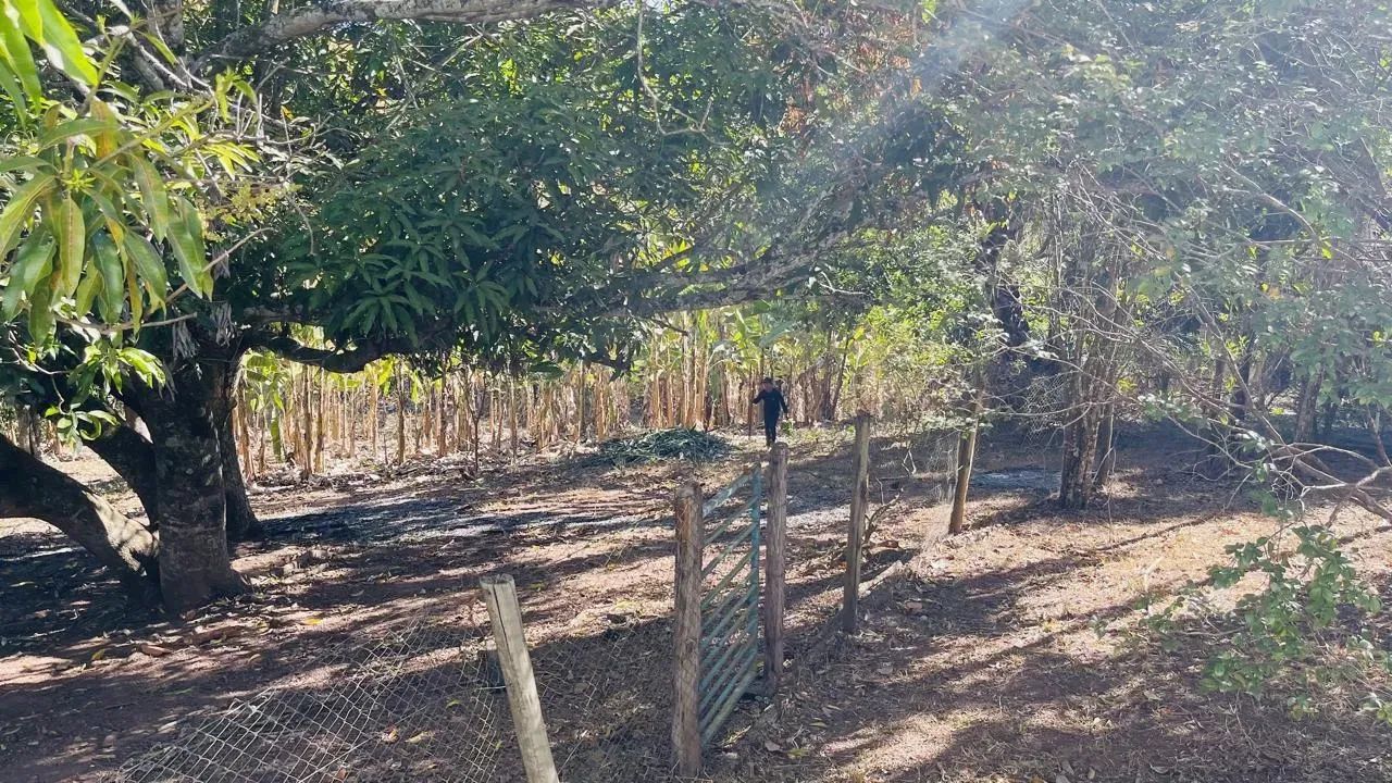 Imóvel para venda com 96 metros quadrados com 2 quartos em Zona Rural - Bela Vista de Goiá - Foto 5