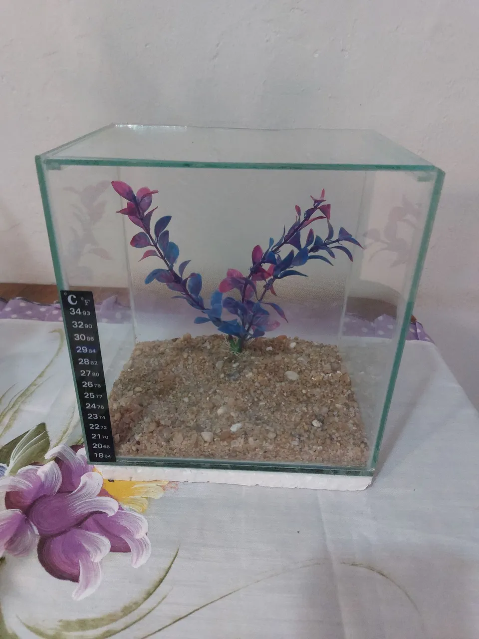 Aquário completo 6L