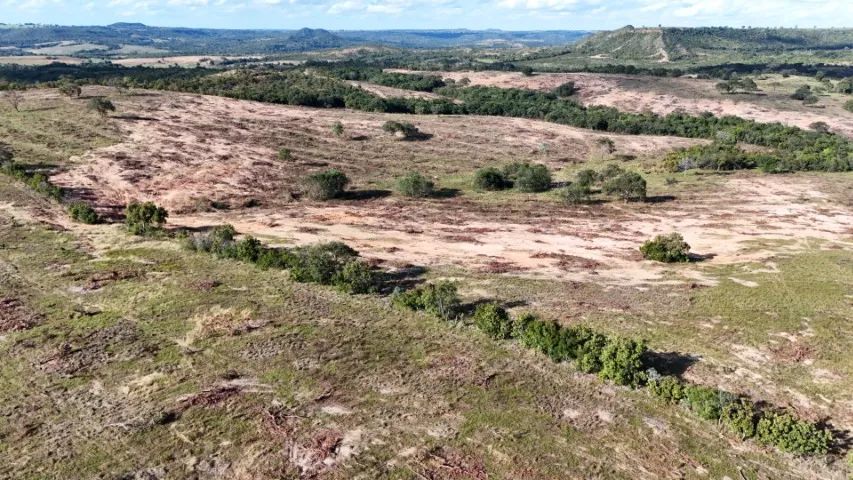 Chácara 99,9 Hectares com Bom Preço em  Camapuã - MS ! - Foto 4