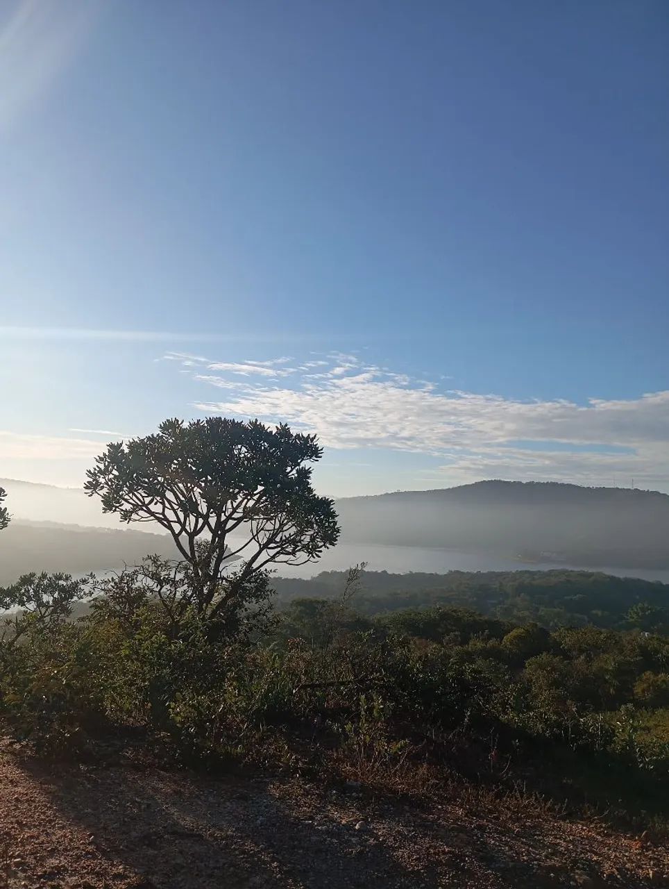 Terreno na várzea das flores  - Foto 10
