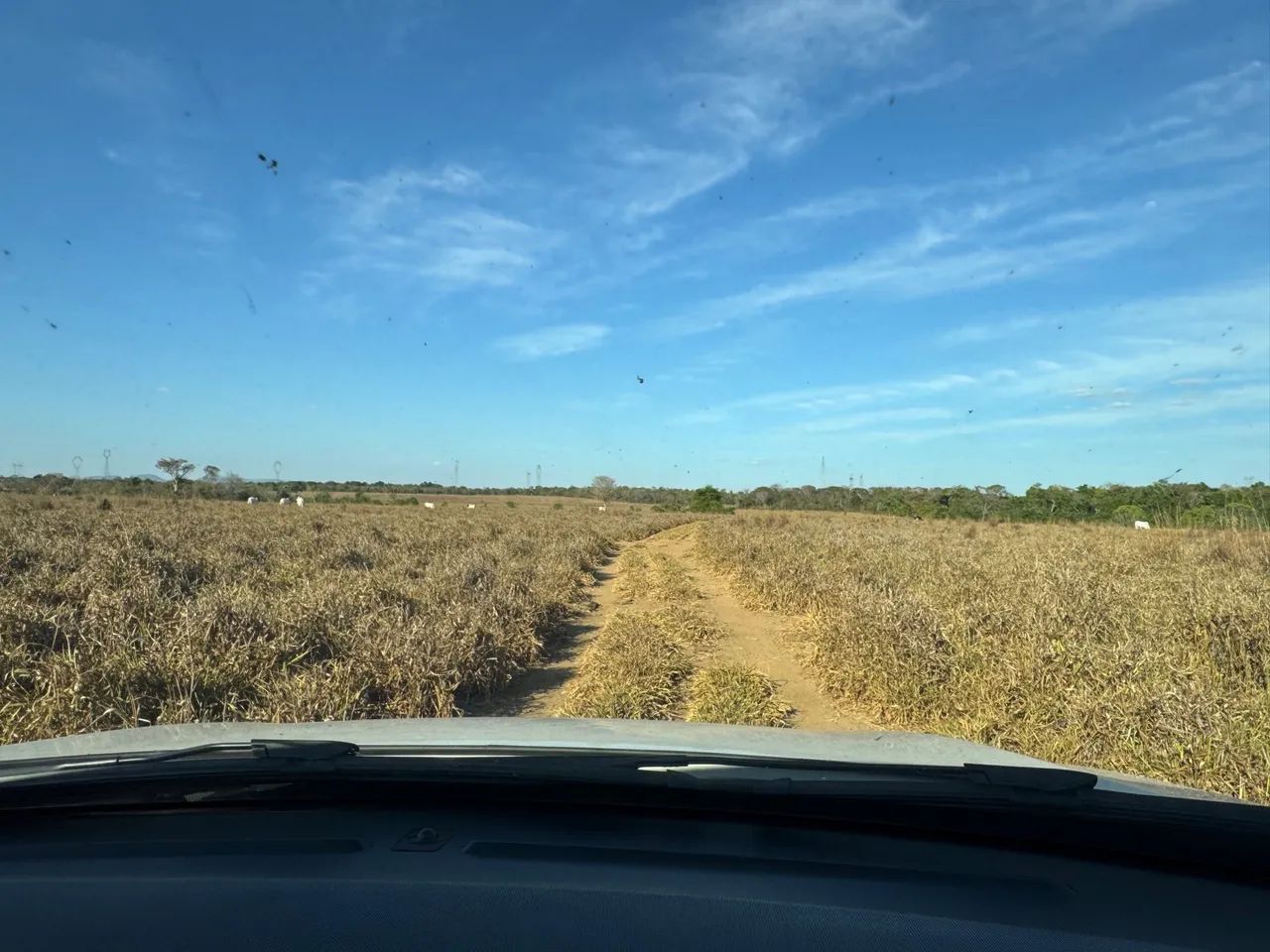 Faz 86 Alq 60 Alq de Pasto toda plena na br153 dos dois lados  - Foto 2