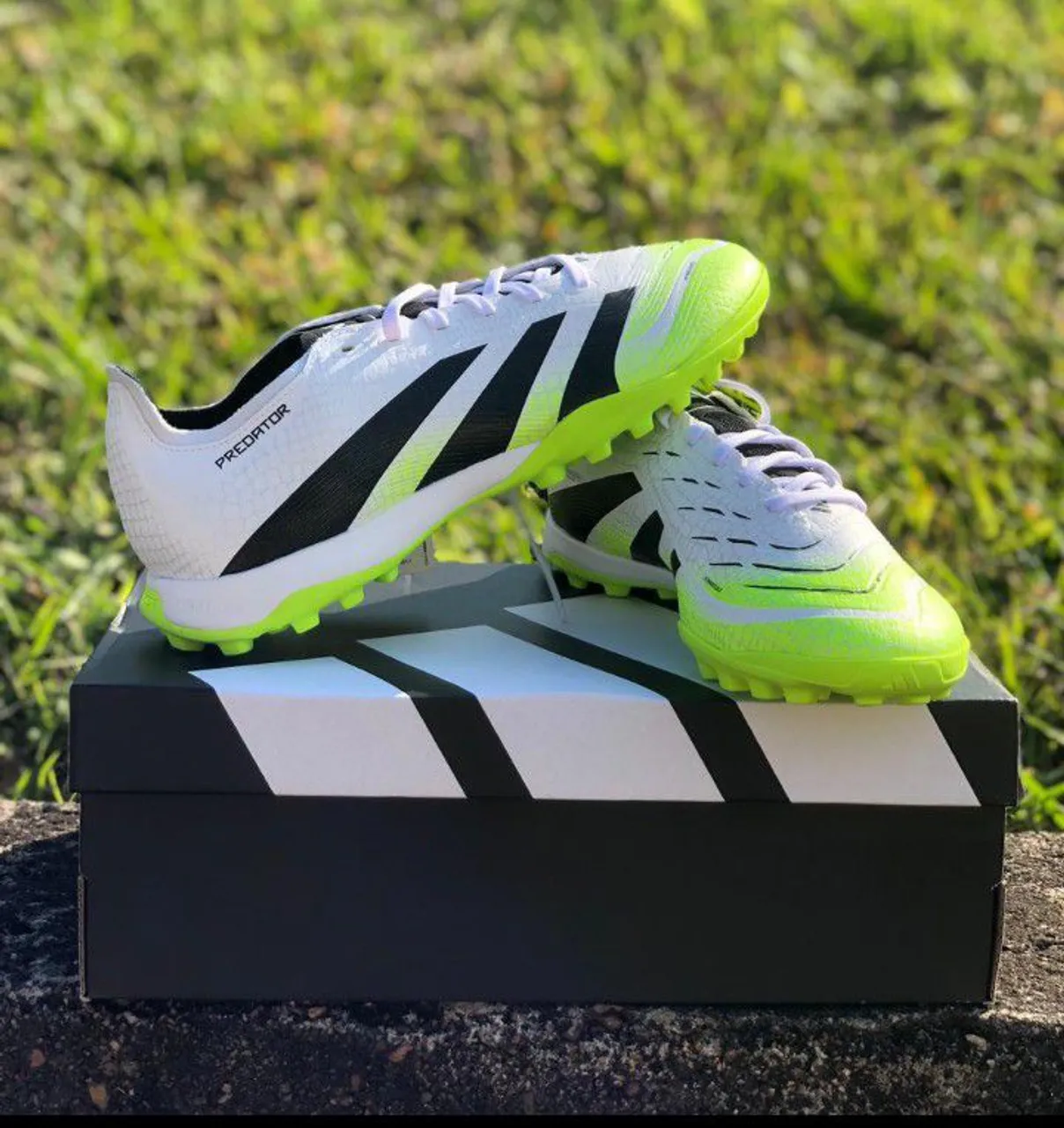 Chuteira Adidas Predator