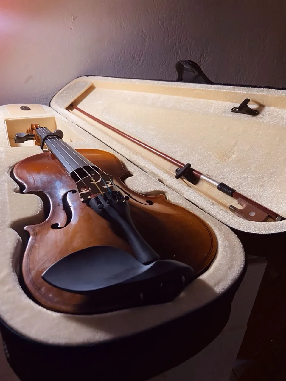 Violino 4/4 Conservado (completo) - Cordas Novas + Arco + Espaleira + Estojo
