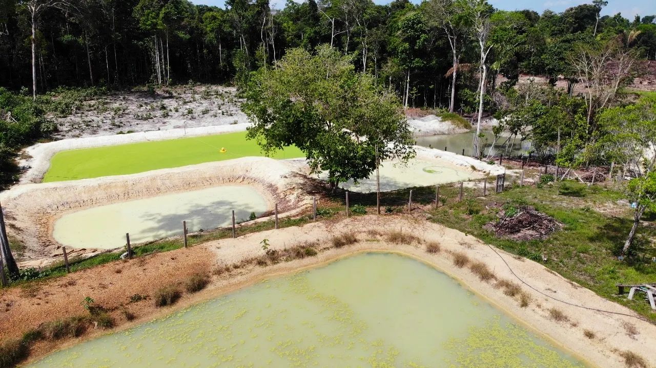 Sítio Manacapuru  - Foto 2