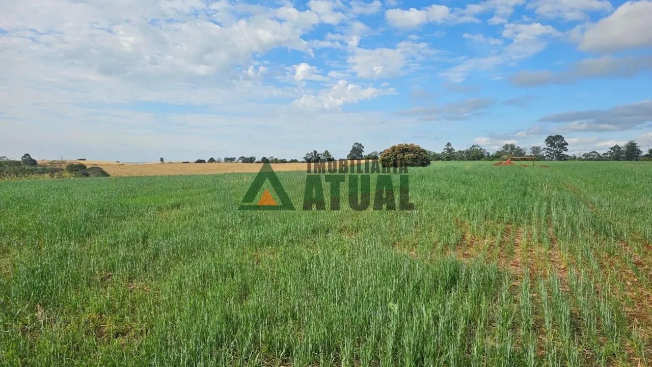 Sítio com 05 alqueires em Jataizinho - Foto 2