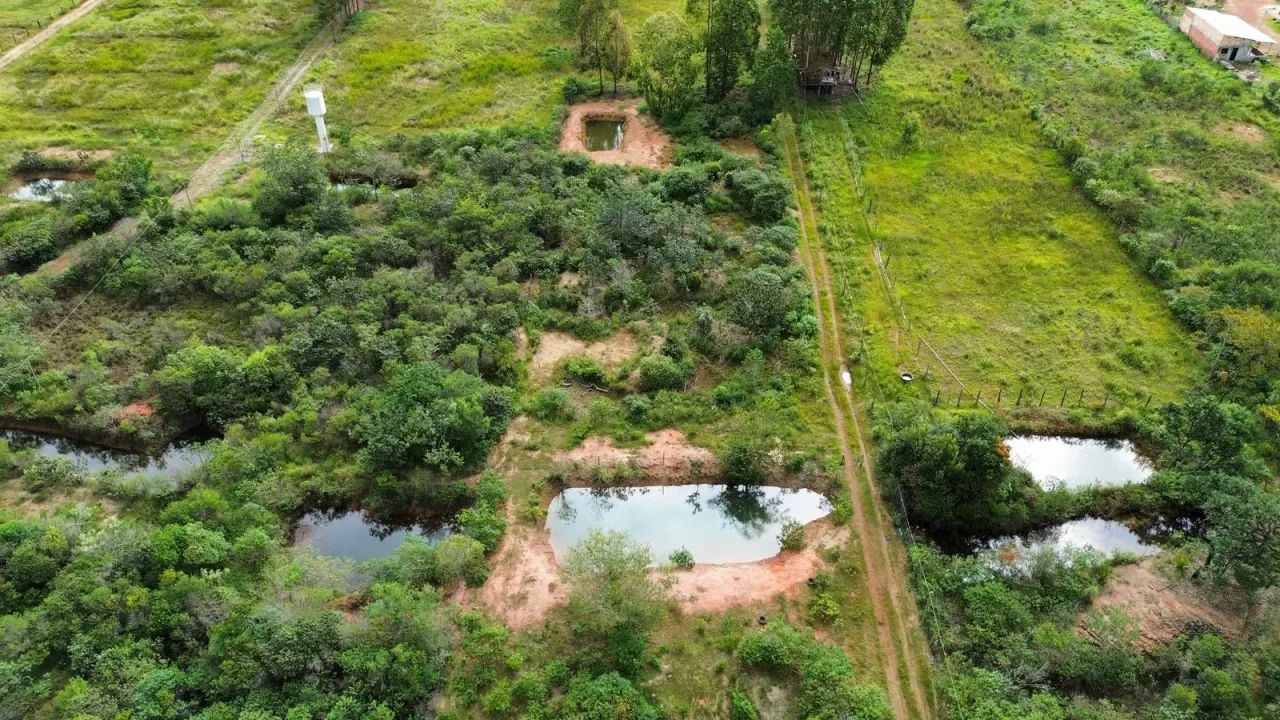 ( Chácara com 7.200m² e Casa de Campo  Pronta para Usar! } - Foto 7