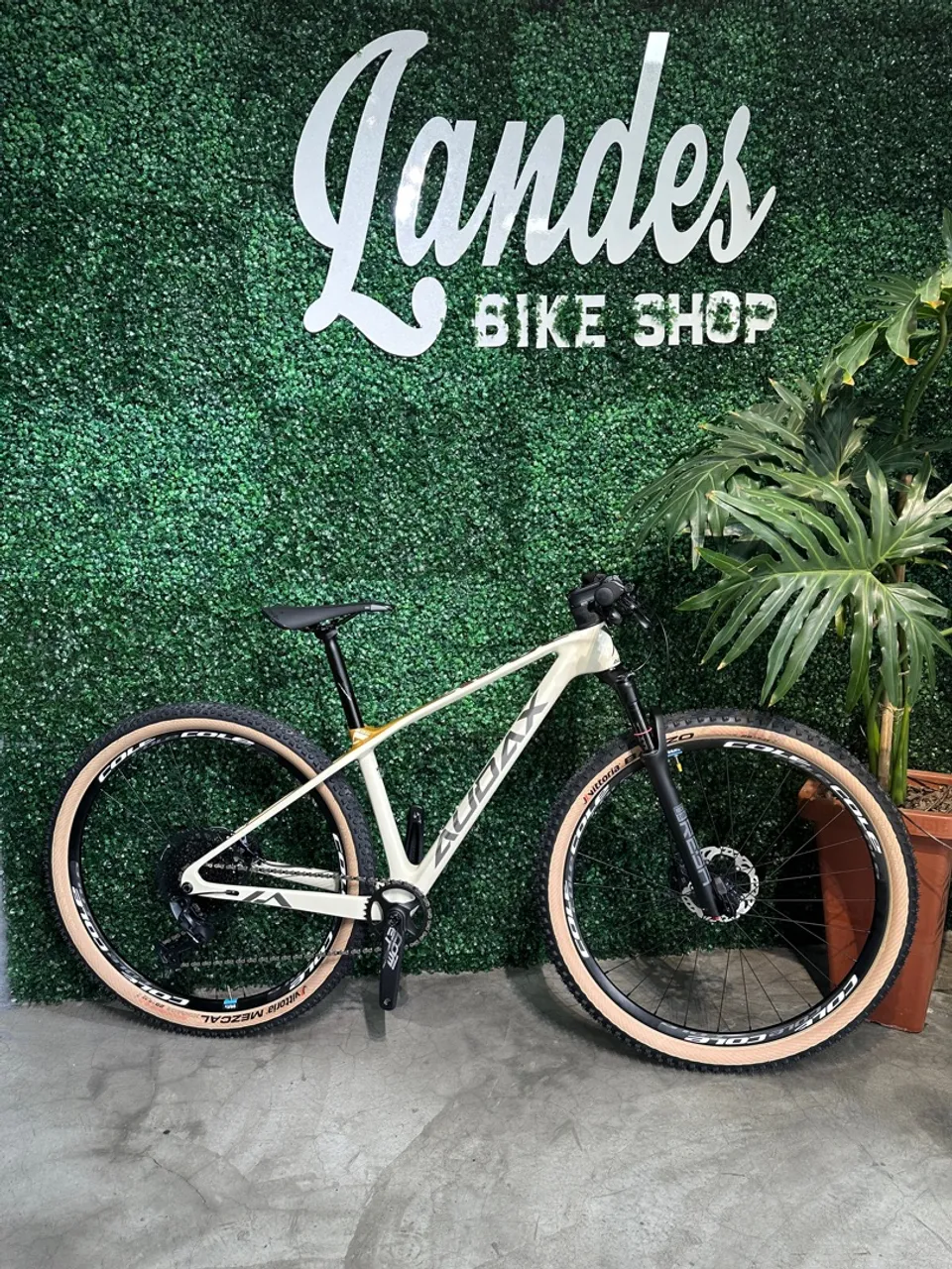 Bicicleta Aro 29 AUDAX Auge 800