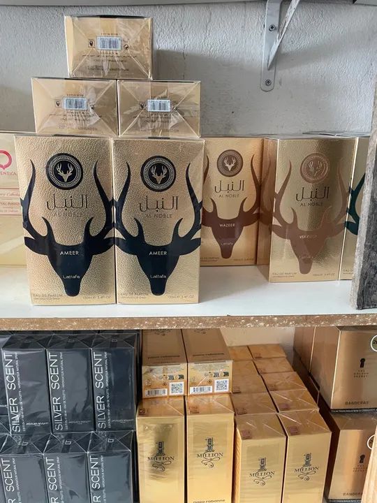 Fornecedor em Fortaleza Perfumes Importados - Diversos Modelos! - Foto 2