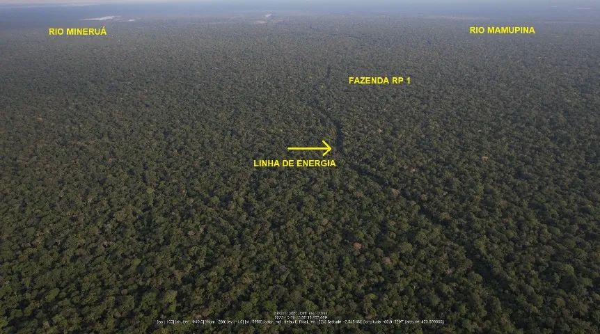 Fazenda 10.030 hectares Fonte Boa - AM, Carbono, Manejo Florestal, Pecuária e Agricultura - Foto 3