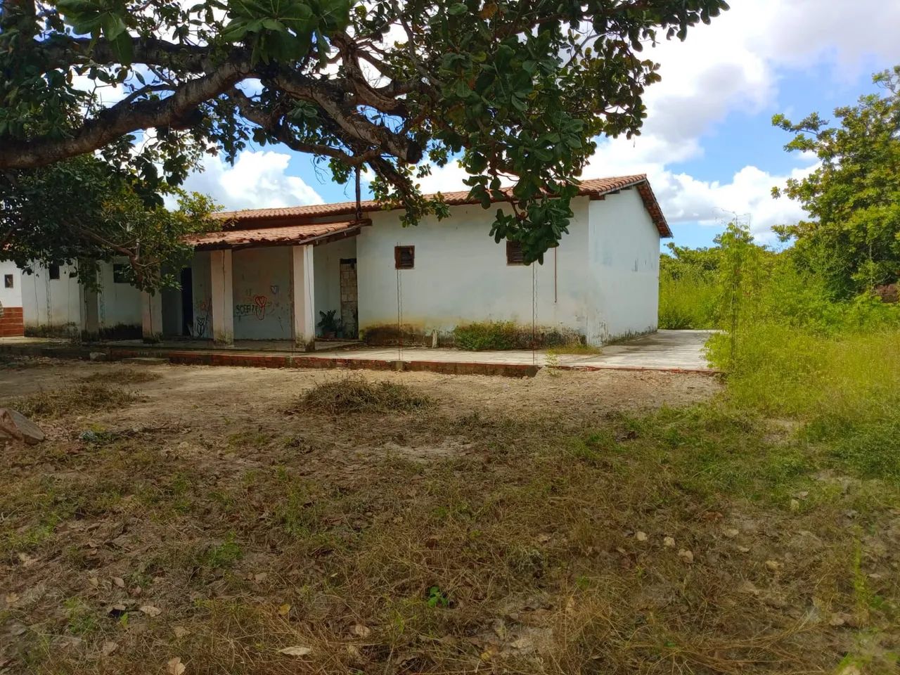 EXCELENTE SÍTIO COMPLETO COM POÇO E MURADO PERTO DO MAL COZINHADO 46KM FORTALEZA  - Foto 4