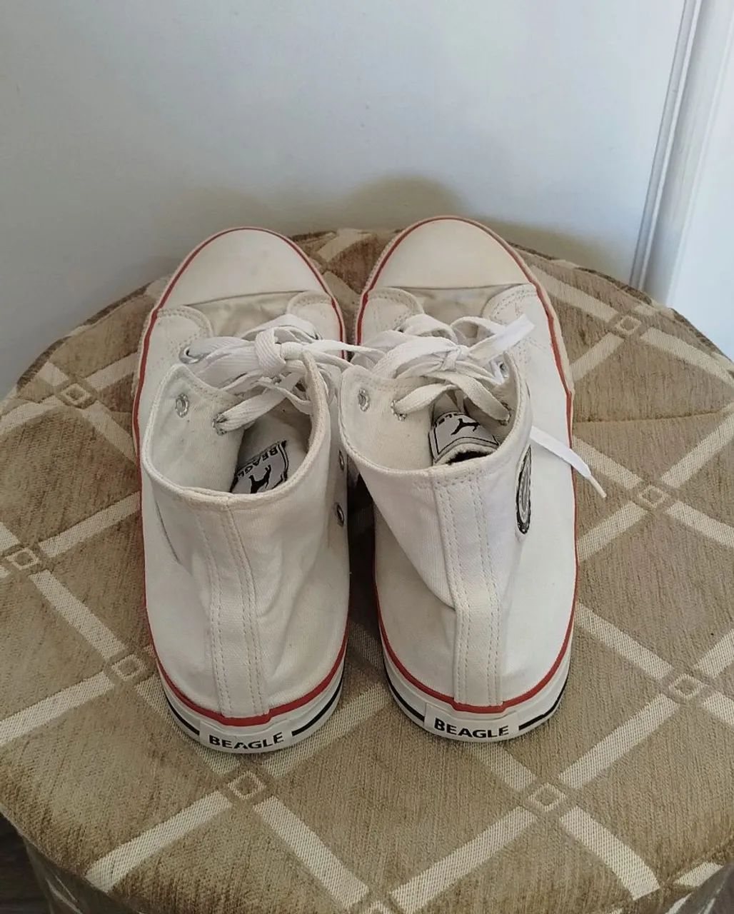 Tênis All Star da Beagle - n.38 - Foto 3