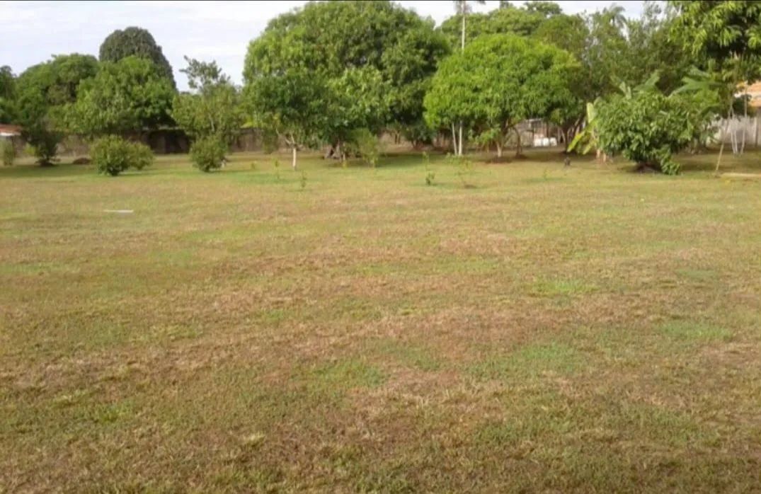 TERRENO EM PARINTINS-AM  - Foto 5