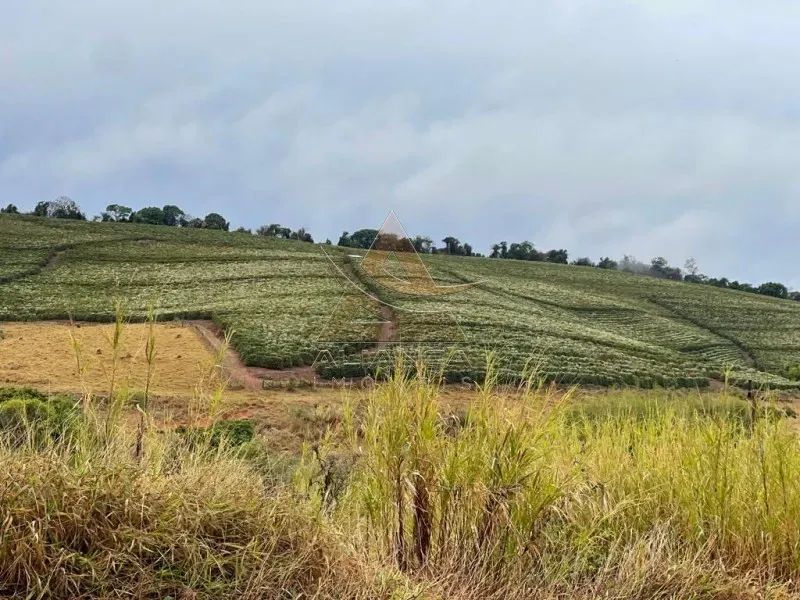 Fazenda - São Lourenço - Zona Rural - Foto 5