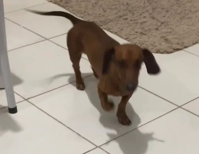 A procura de uma namorada