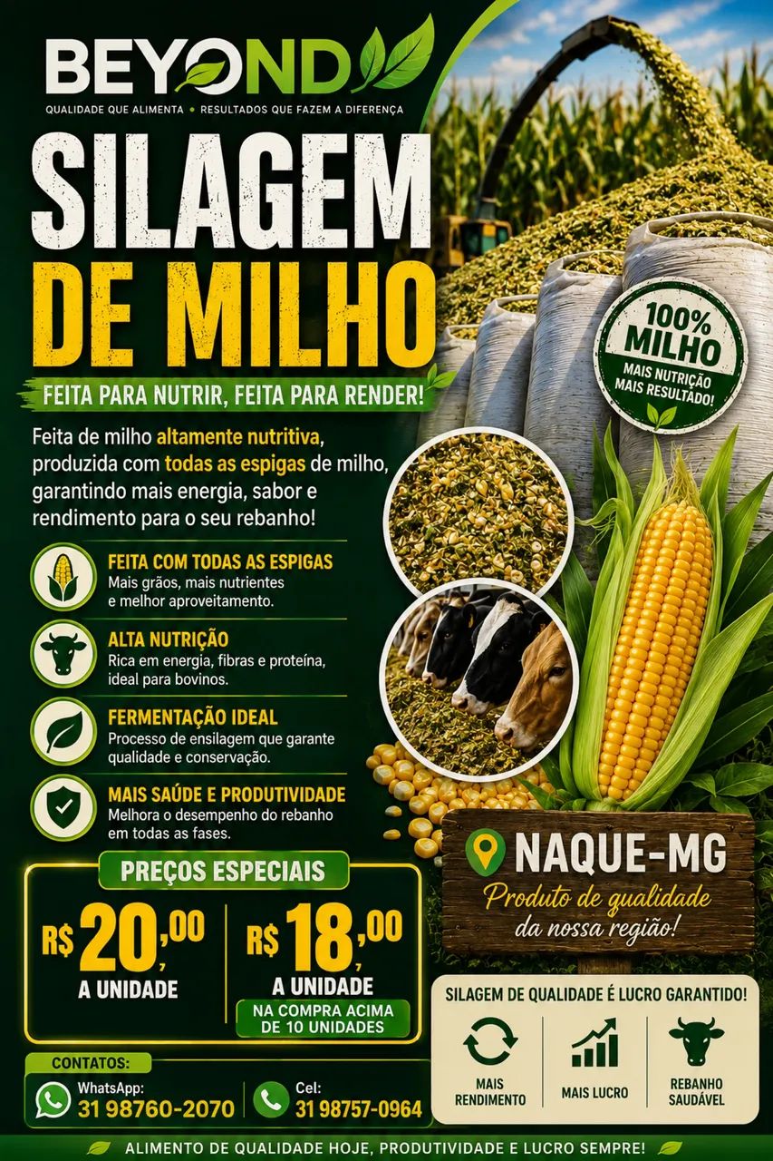 Silagem de milho