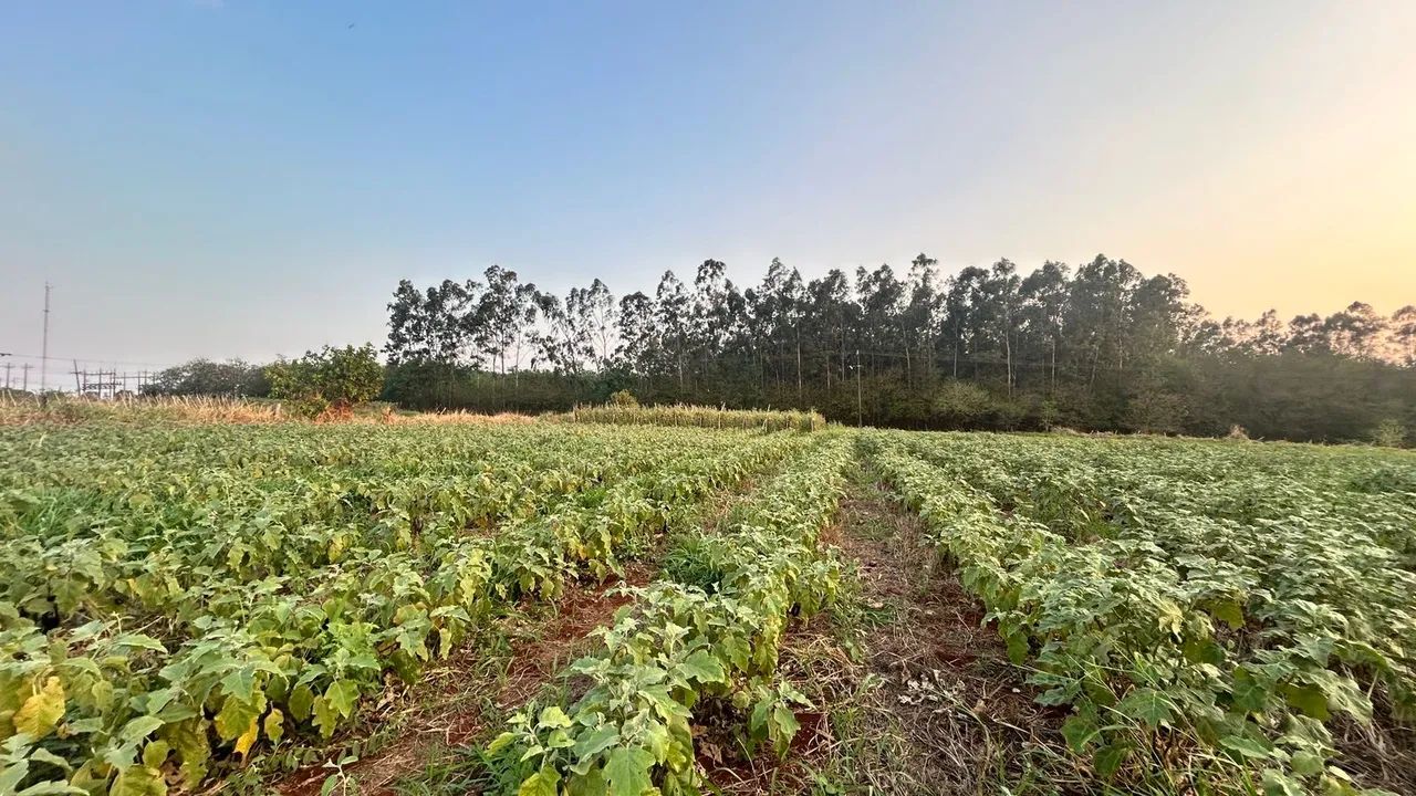 Instale sua usina solar ou indústria - Foto 4