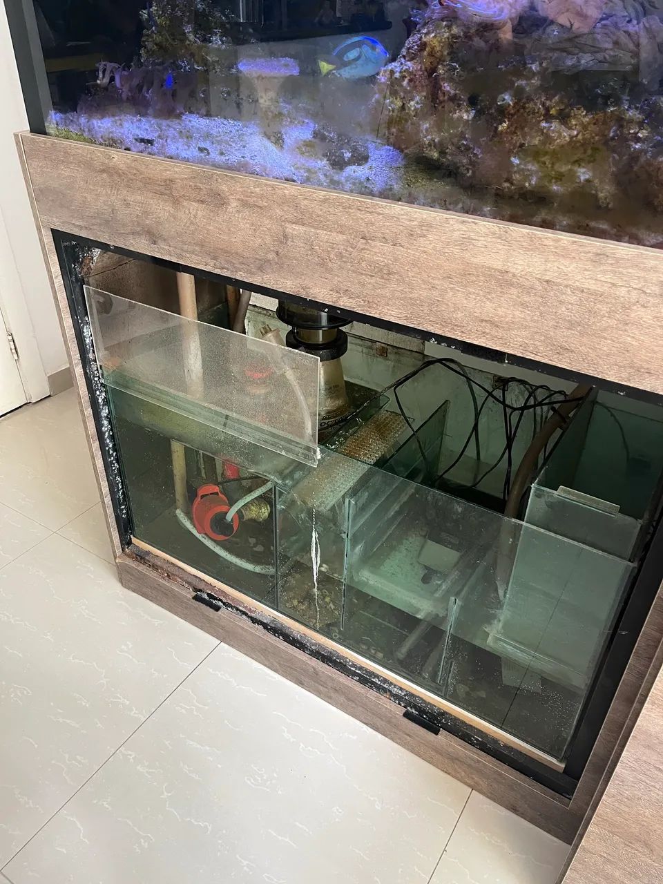 Aquário completo  - Foto 6