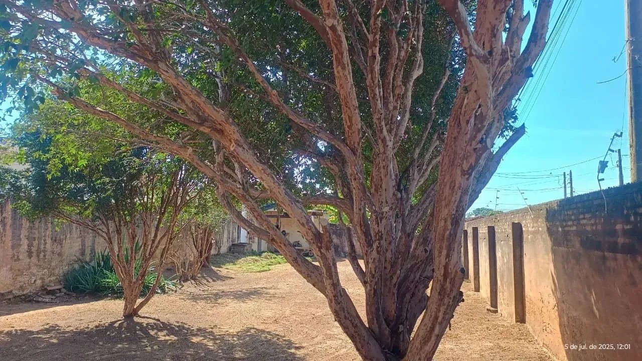 Casa para venda com 82 metros quadrados com 2 quartos em Vila Santa Izabel - Penápolis - S - Foto 7