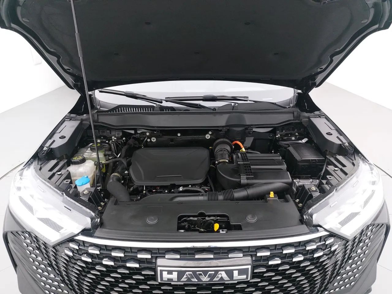 GWM Haval H6 Premium Phev AWD, foto 10 de 18