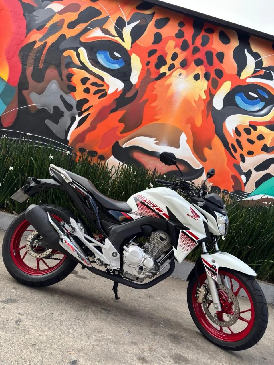 Cb Twister 250  - Foto 3