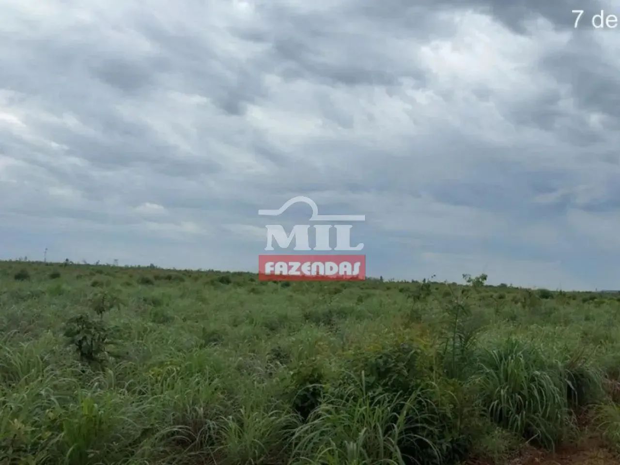Fazenda 745 alqueires (3.607 hectares) Goiatins - Go - Foto 5