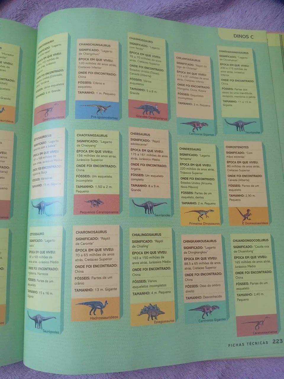 Dinopédia - Foto 4