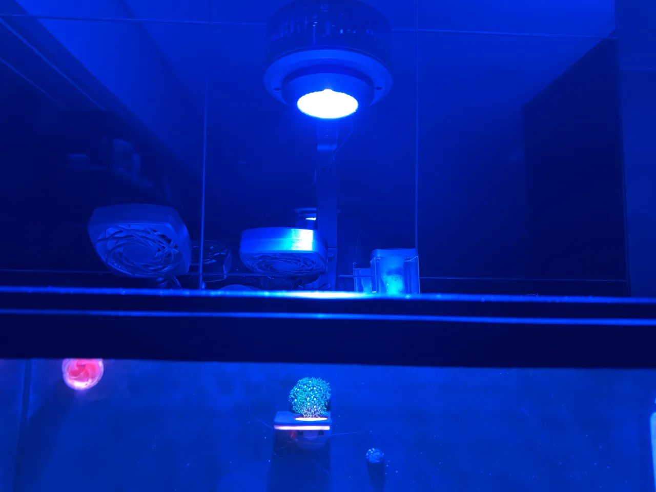  Luminária A7s III para aquário marinho em excelente estado, com apenas 2 meses de uso. - Foto 3