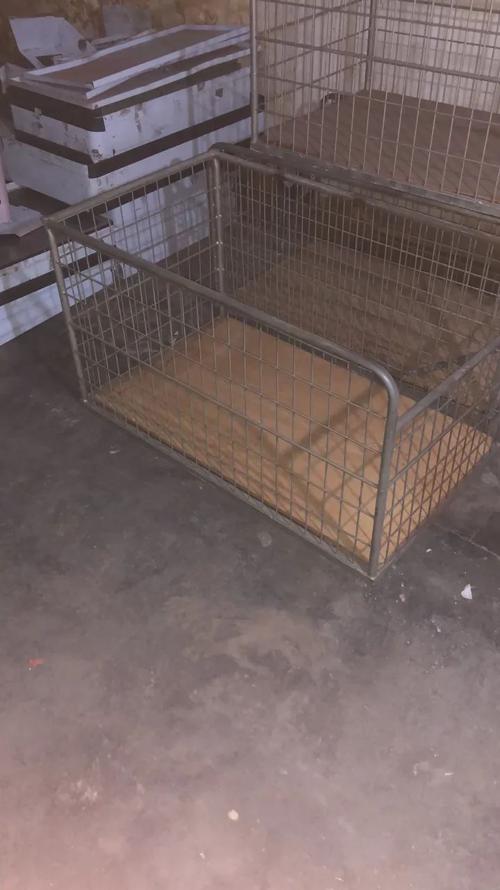 Carrinho tela por 200