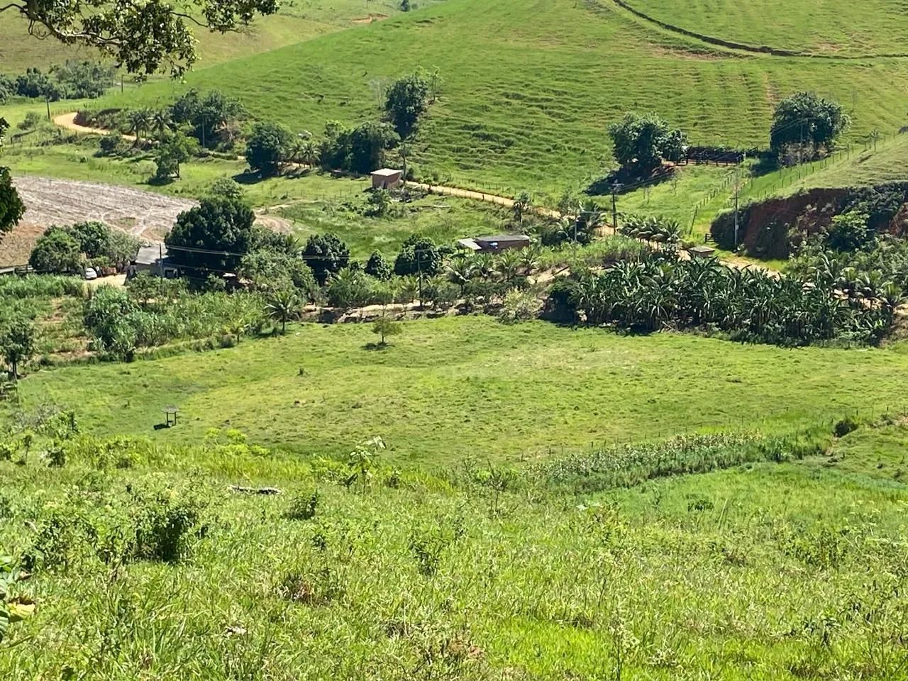 Sítio em em Conceição de macabu  - Foto 4