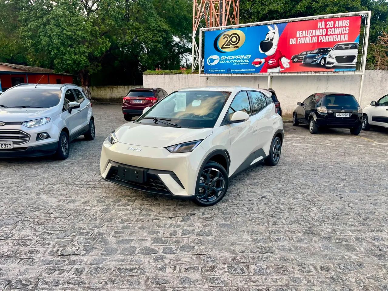 BYD Dolphin Mini GL 2027 - Foto 2