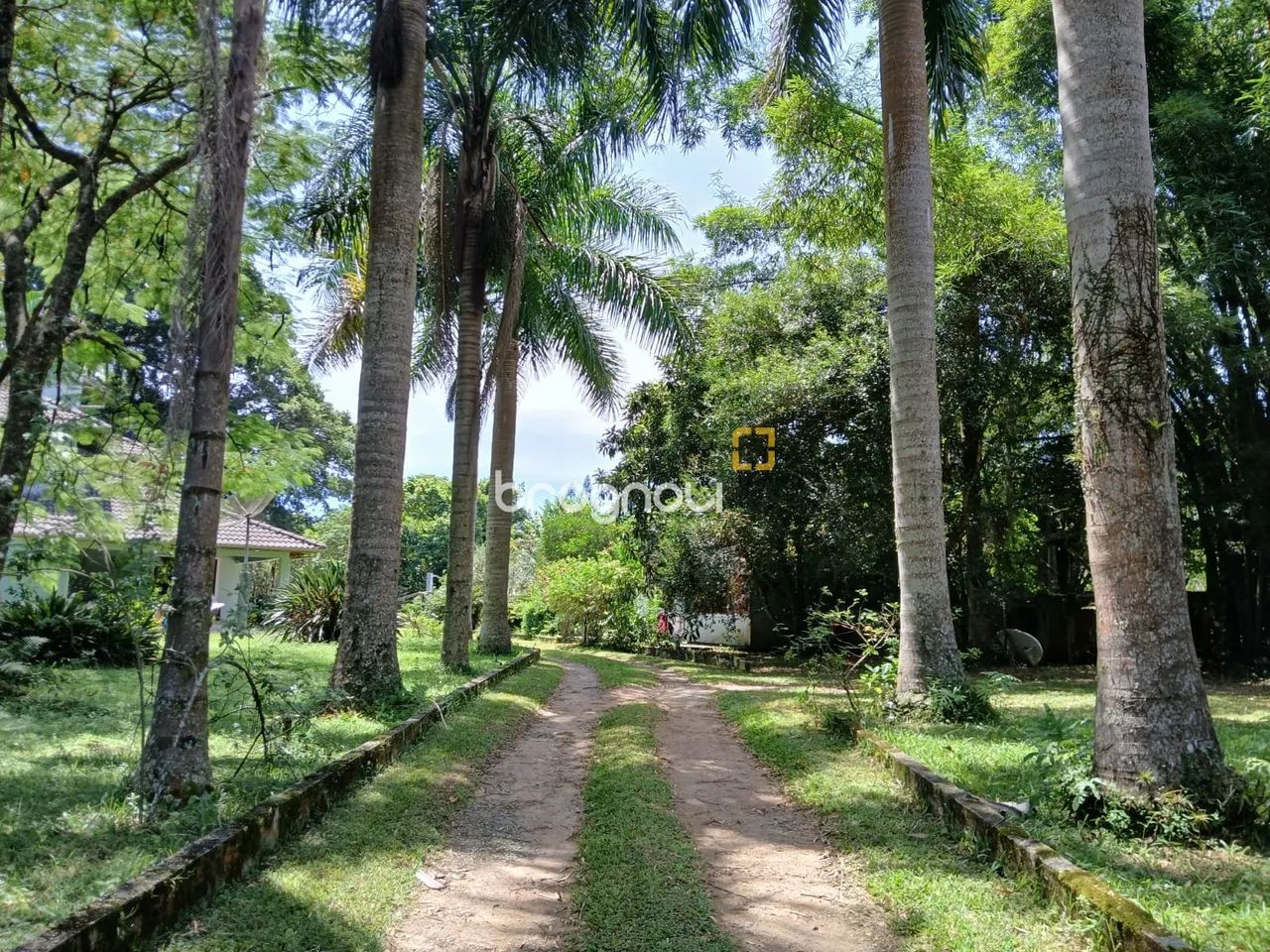 Sitio em Ratones