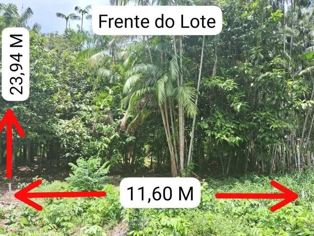 Lote - Foto 2
