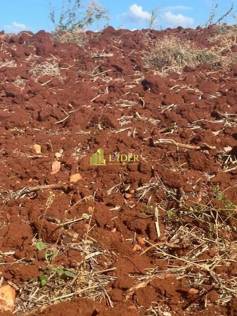 FAZENDA NA ÁREA RURAL DE MARTINÉSIA - MG - Foto 5