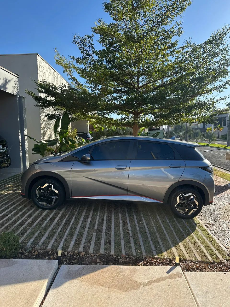 BYD Dolphin 2024