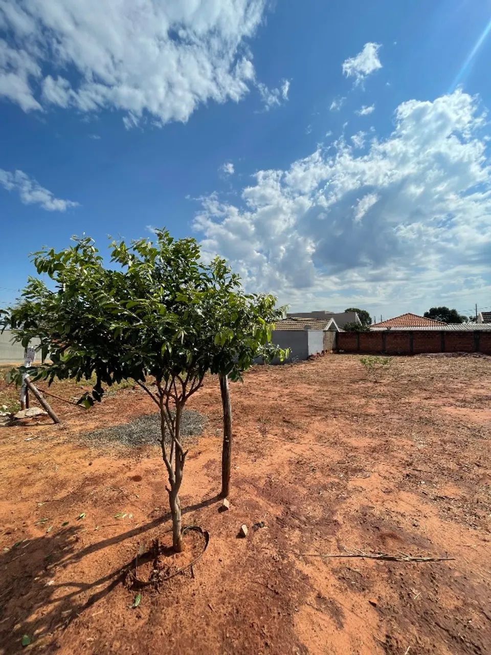 Terreno, 12x24 no nível da rua.  - Foto 2