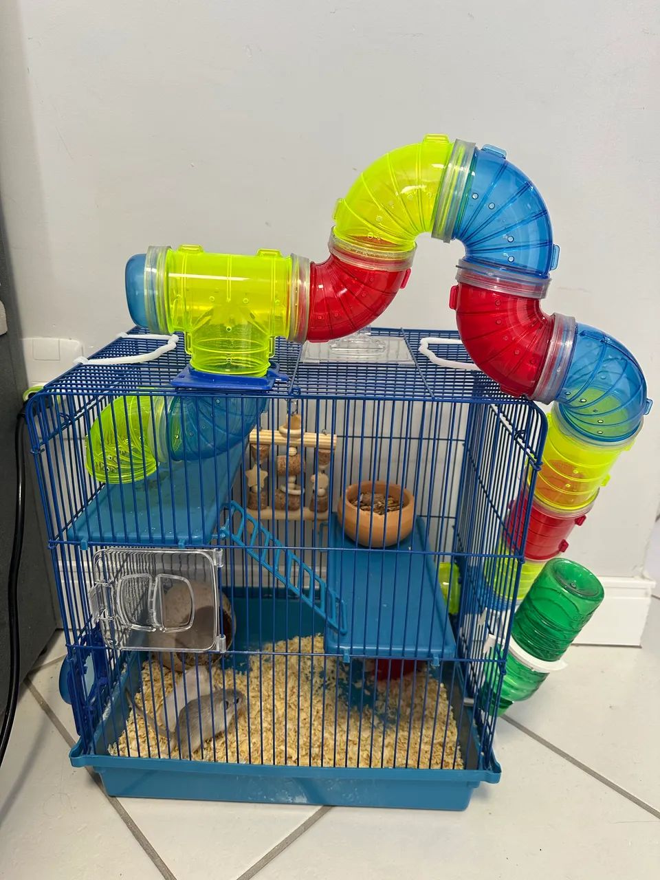 Casa com Hamster completa 