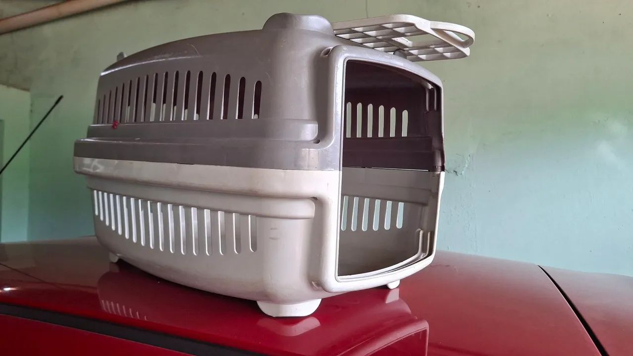 2 caixas de transporte animal N2