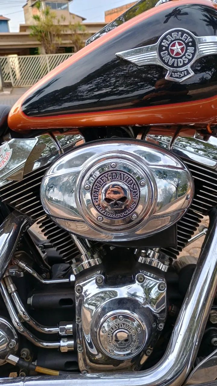 Fatboy 2015 - Foto 2