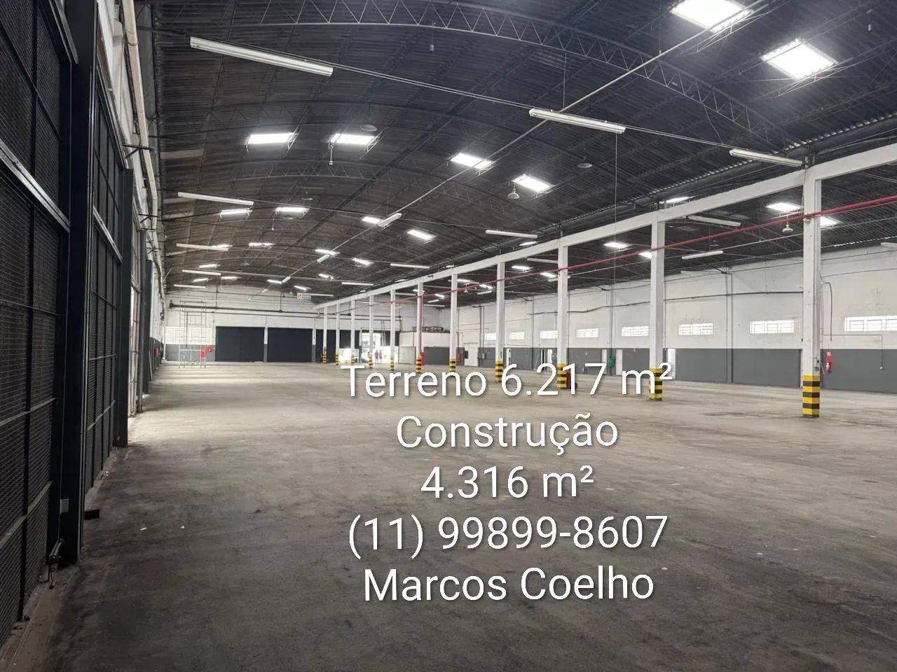 Galpão CEAGESP - Foto 4