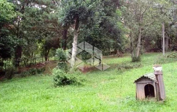 Sitio em Belém Velho - Foto 4