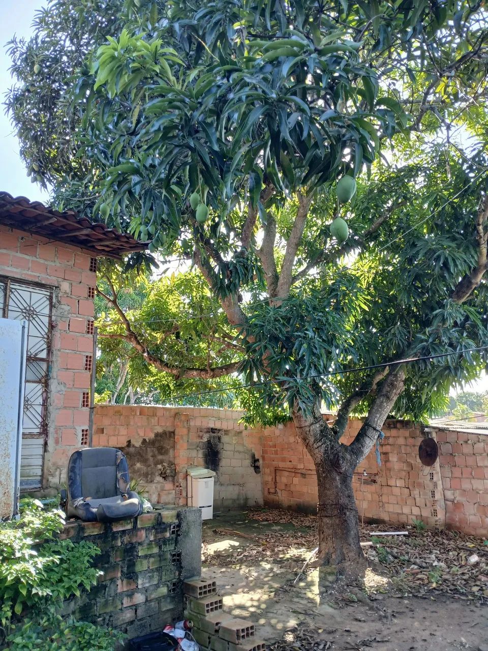 Vender mine sítio na barra de Santo Antônio  - Foto 5