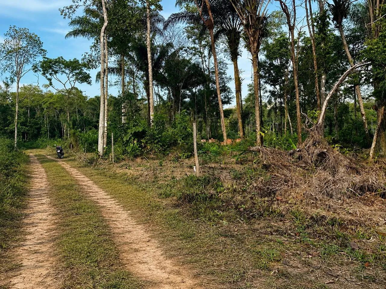Rio pantãnarir  - Foto 3